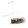 Philips 929003053301 Hue Ensis Hanglamp White and Color Wit