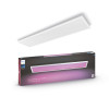 Philips 929002966501 Hue Surimu Rectangle Panel 1200 White and Color Ambiance 60W 