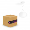 Philips 929003053601 Hue Flourish Hanglamp Wit White and Color 