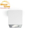 Philips 50491/31/P0 myLiving Box Wit 4,5W Warmglow