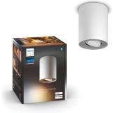 Philips 929003811301 Hue Pillar Spot White Ambiance Wit